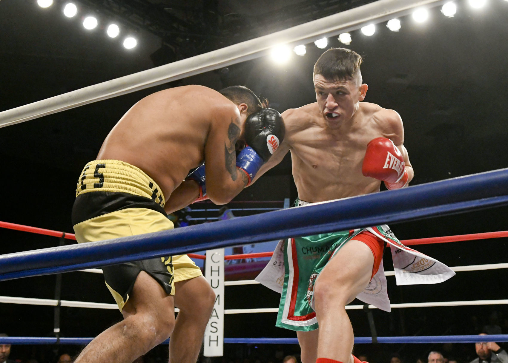 011020 WFC 120 boxing 39.jpg